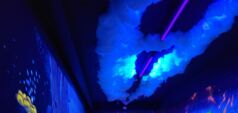 Übungsleiterveranstaltung BSG Blacklight-Minigolf