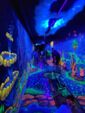 Übungsleiterveranstaltung BSG Blacklight-Minigolf