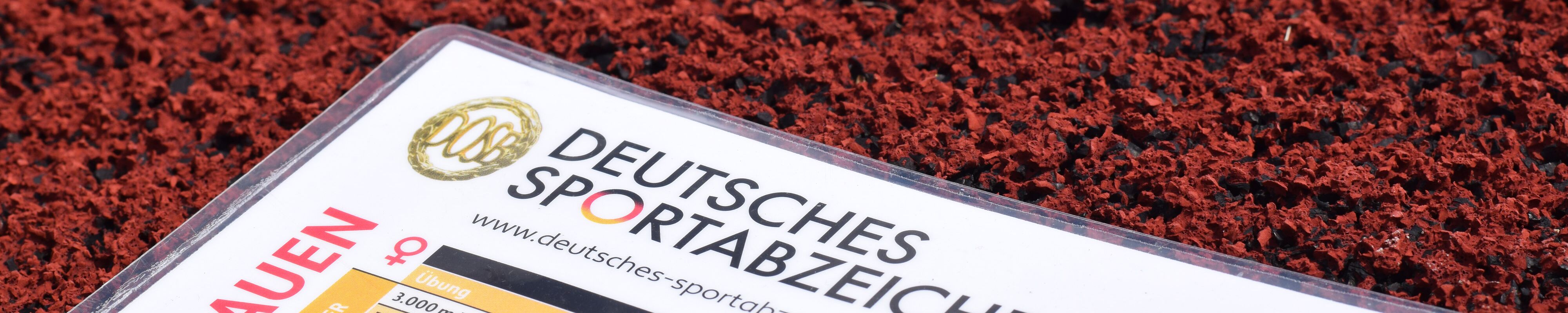 Sportabzeichen Tabelle BSG Nordwalde
