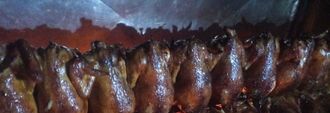 Hähnchengrillen BSG Nordwalde